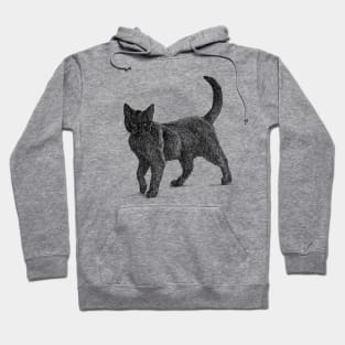 Cat scientific nature black ink pen drawing illustration Hoodie